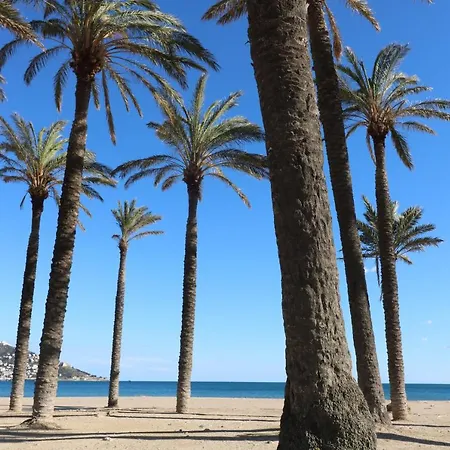El Molino *